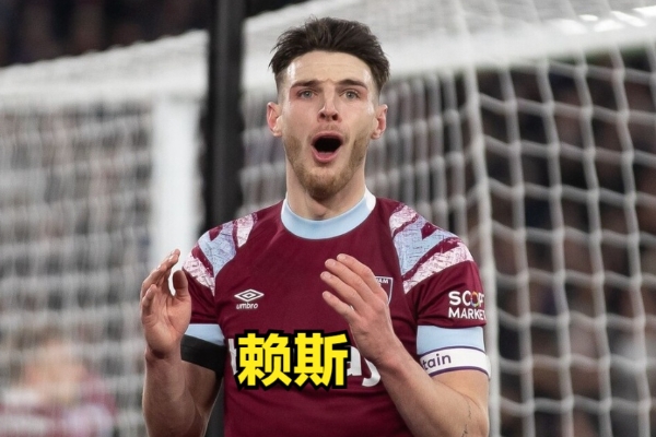 賴斯屬于什么是類型的后腰？